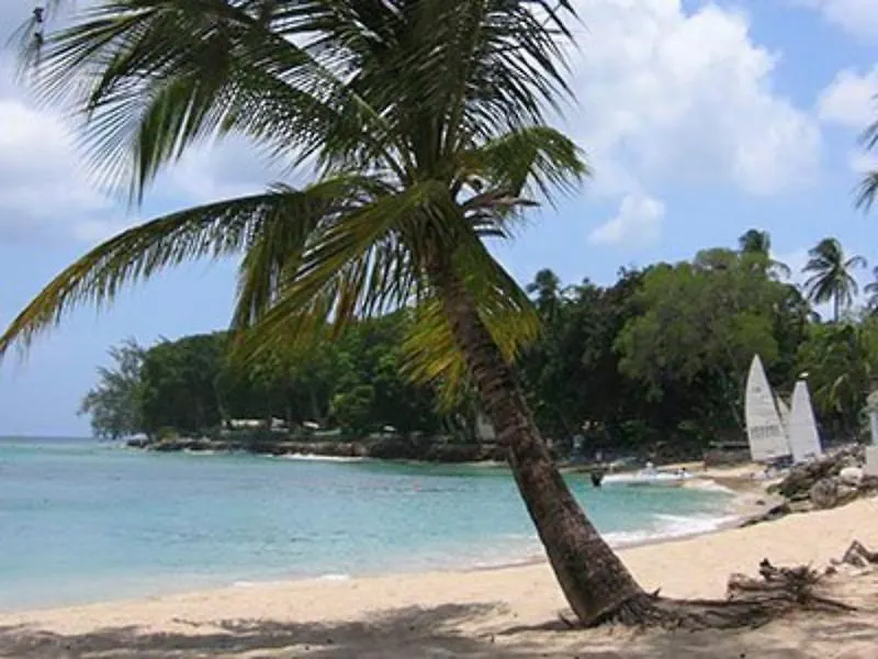 Resort Starfish Discovery Bay Holetown